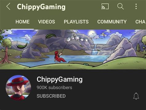 chippygaming|chippygaming skyblock.